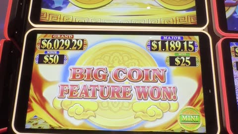 Golden Pig Bonus 🐷🎰🎊