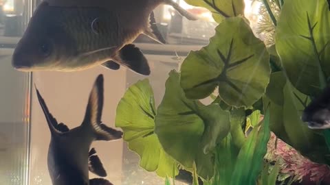 Going To The Water: Part 2