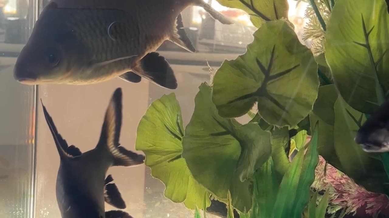 Going To The Water: Part 2