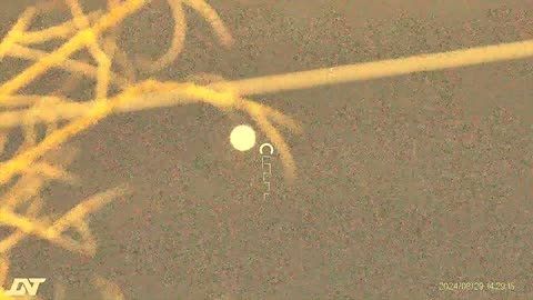 THE ALIEN FLOATS UP 2 THE MOON THEN LEAVES ! ! '