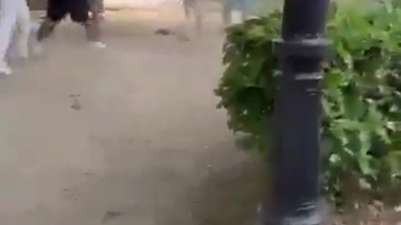 Migrant gangs stab each other in broad daylight in the Spanish city of Pontevedra.