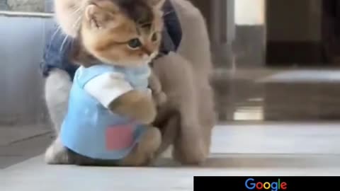 VIRAL!!!