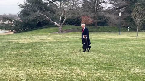 Absolutely Wholesome President Trump with Little X