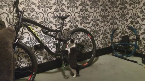 RIO 🙀 GIVES FIRST BIKE 🚲 SAFETY CHECK & ITS A QUICK INSPECTION VERY QUICK THAT HE HAS TO RUN OFF 😄🤣