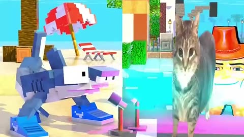 Who wins?