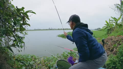 Shad Jigging in River Spawning Grounds