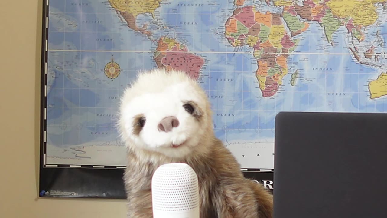 Zelenskyy & The Coalition of the Willing are Running Out of Options...