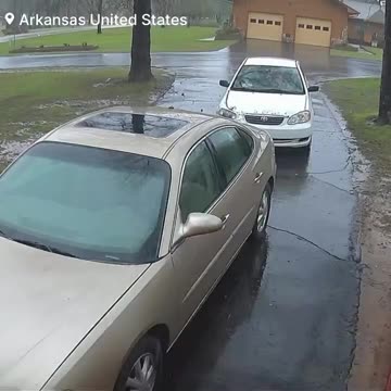 I bet there's poop in that car