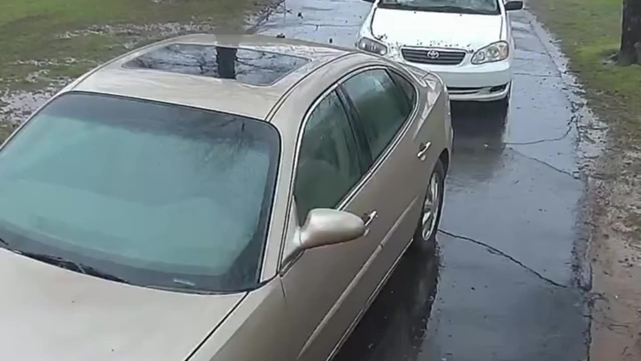 I bet there's poop in that car