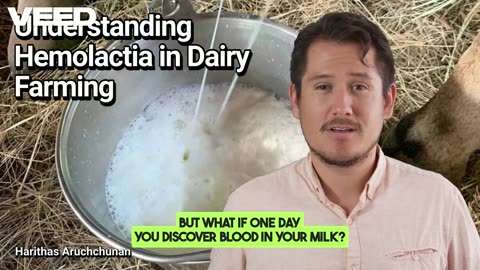 Is Your Milk Safe?Hemolactia Explained