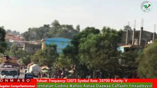 Oduu Ganama ONM-ABO Sadaasa 20-2025 itti dhiyaadhaa!