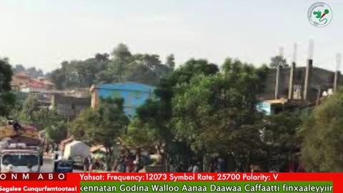 Oduu Ganama ONM-ABO Sadaasa 20-2025 itti dhiyaadhaa!