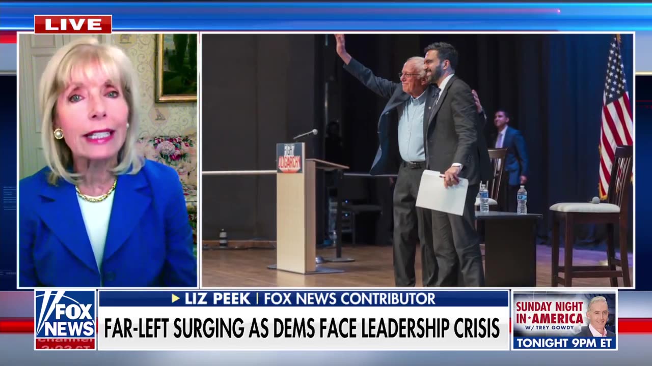 Aligning with Mamdani will hurt Democrats, Liz Peek says
