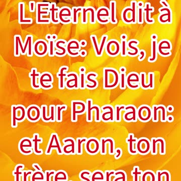 "Moïse comme Dieu devant Pharaon" Exode 7:1 #shorts #shortvideo #youtubeshorts #ytshorts #youtube