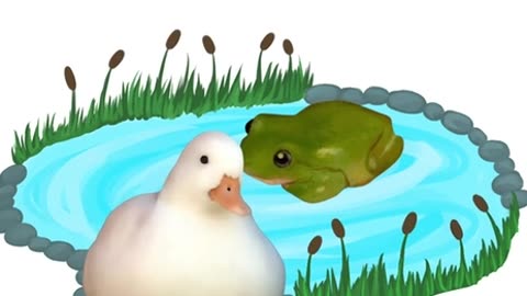 Always a Good Duck