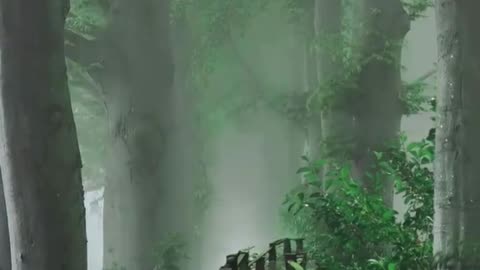 Mystical Forest Path 🌿 | Walk Into Nature’s Calm 🍃🌫️