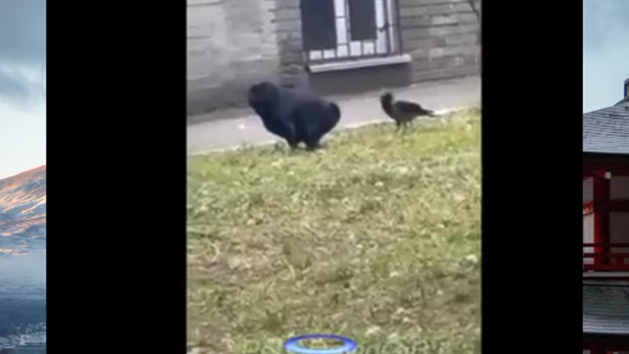 Mine