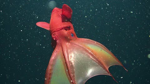 MVTV - October 27th, 2025