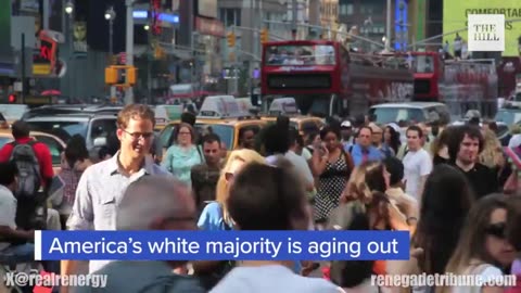 White Genocide
