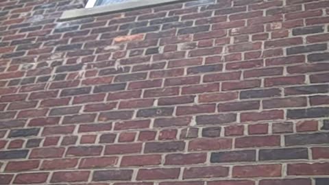 sanding part 2 on pasadena st 10 unit building,