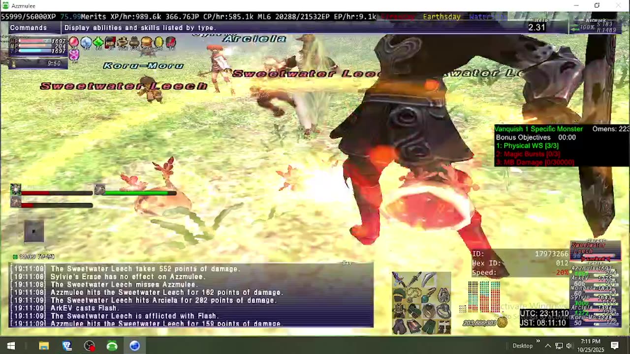 Playing Final Fantasy XI Online