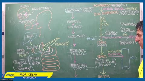 VONEX REPASO 2025 | Semana 02 | Anatomía