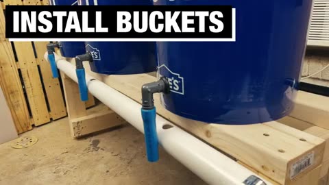 How to Build an Effective Dutch Bucket Hydroponic System!