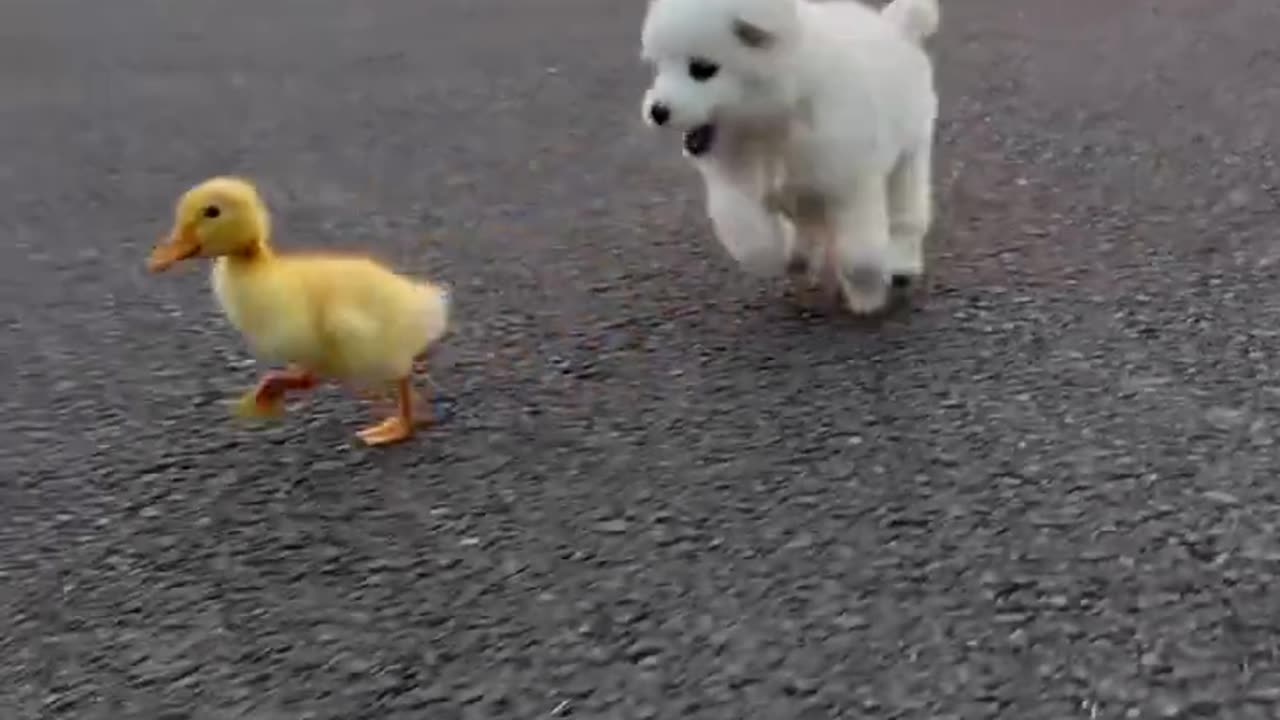 cuteness overload 😍