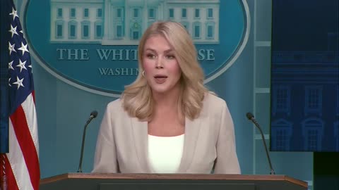 Doocy Asks Karoline Leavitt What Will Happen If Admin Is 'Wrong' About Tariffs