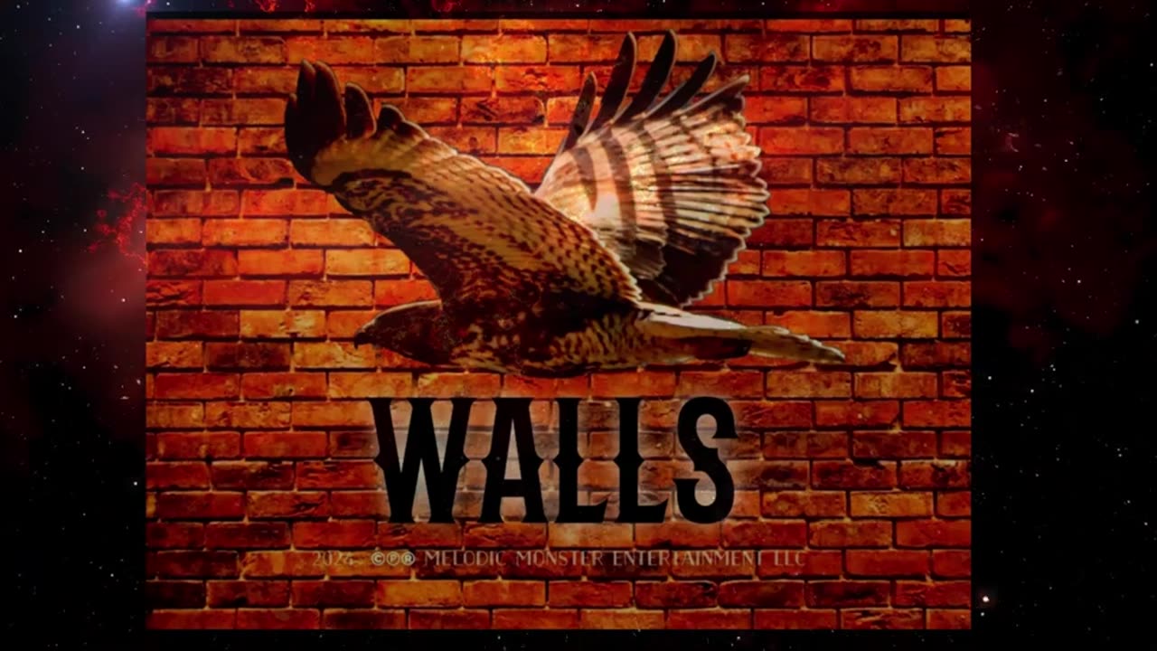 SCHALLYN (DT HAWKINS') -WALLS