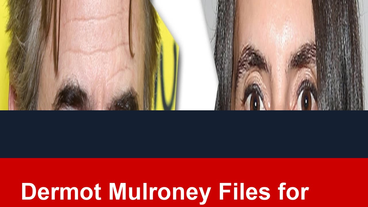 Dermot Mulroney Files for Divorce From Prima Apollinaare After 14 Years