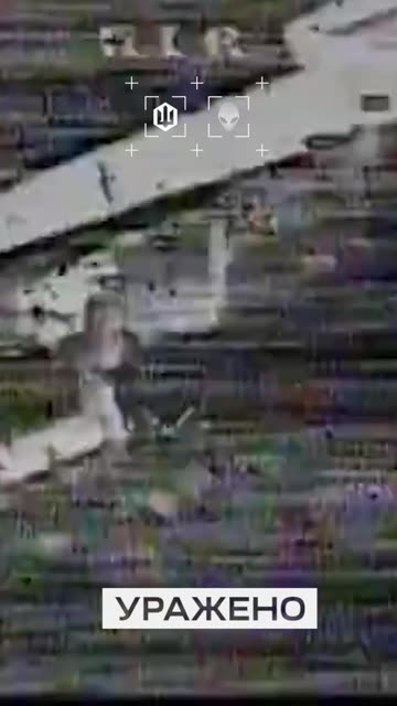 The 412th Nemesis Brigade of the SBS carried out thousands of strike missions against the enemy