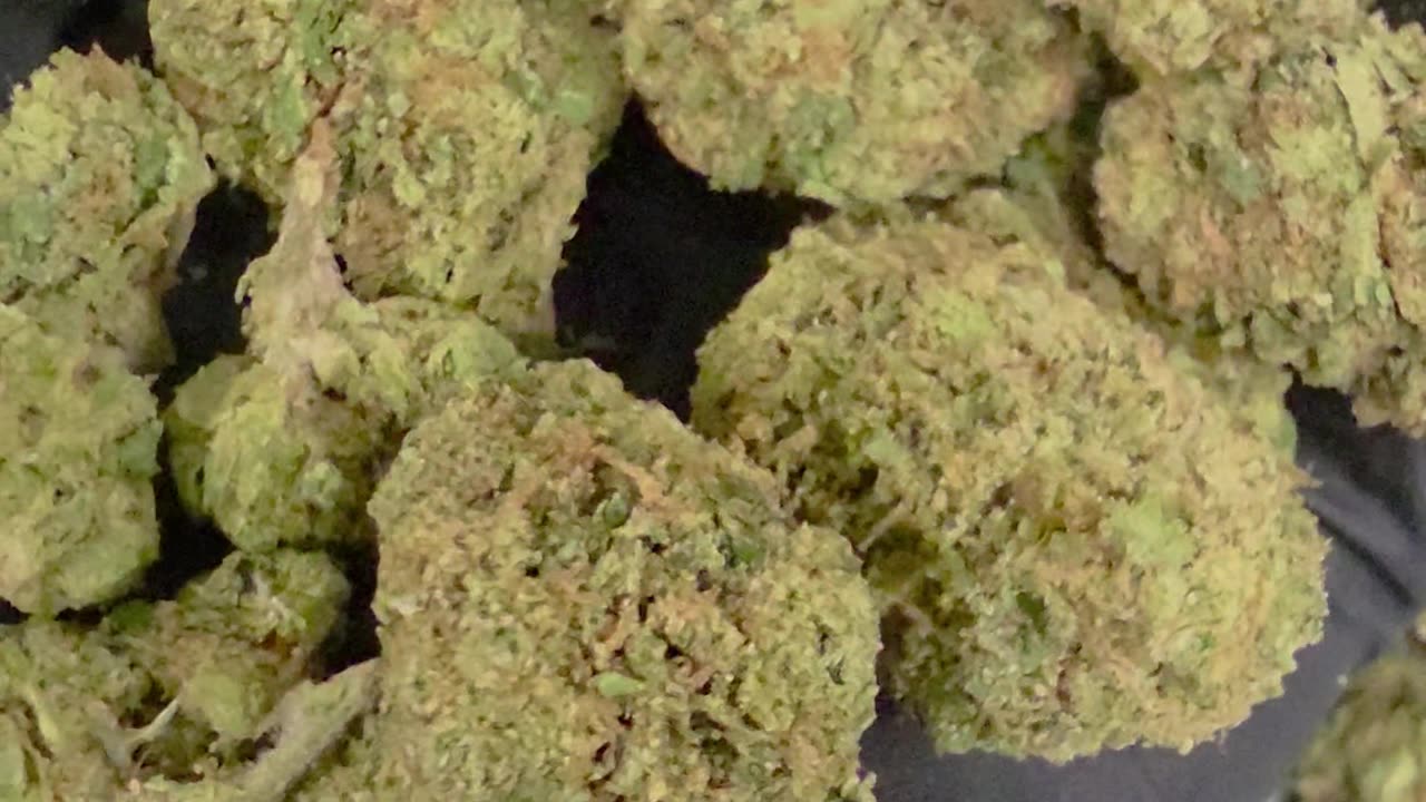 THC-A Flower Lemonatti