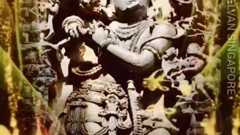 வயலை தேடி கண்ணன் TMS LEGEND M.THIRAVIDA SELVAN SINGAPORE TMS FANS 2025