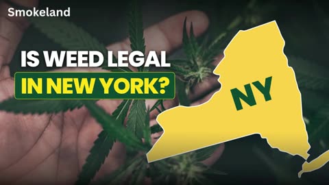 Is Weed Legal in New York? What You Need to Know Before Visiting a Dispensary
