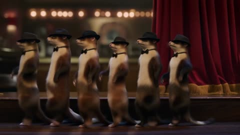 Funky Ferrets Grooving to Jazz Like Pros!