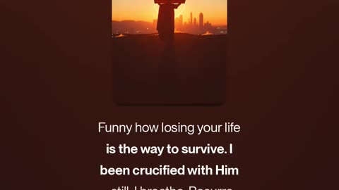 Kingdom Over Culture (V4.5)