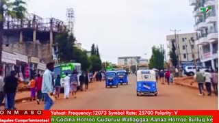 Oduu Ganama ONM-ABO Sadaasa 14-2025 itti dhiyaadhaa!