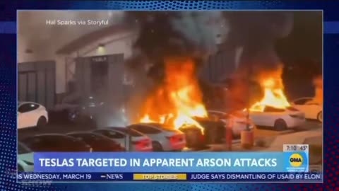 The Daily Show's audience applauds domestic terrorism against Tesla
