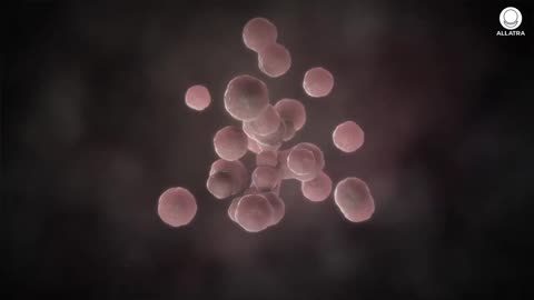 Trailer on the Documentary “Nanoplastics. Threat to Life”