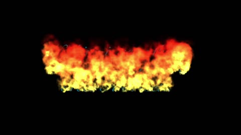 Things We Lost in the Fire