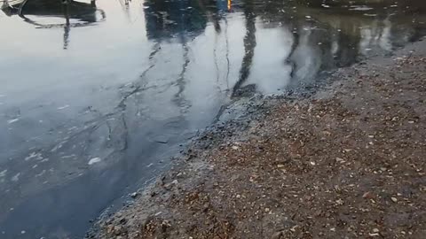 Man Drives Off Bridge to Avoid Crash