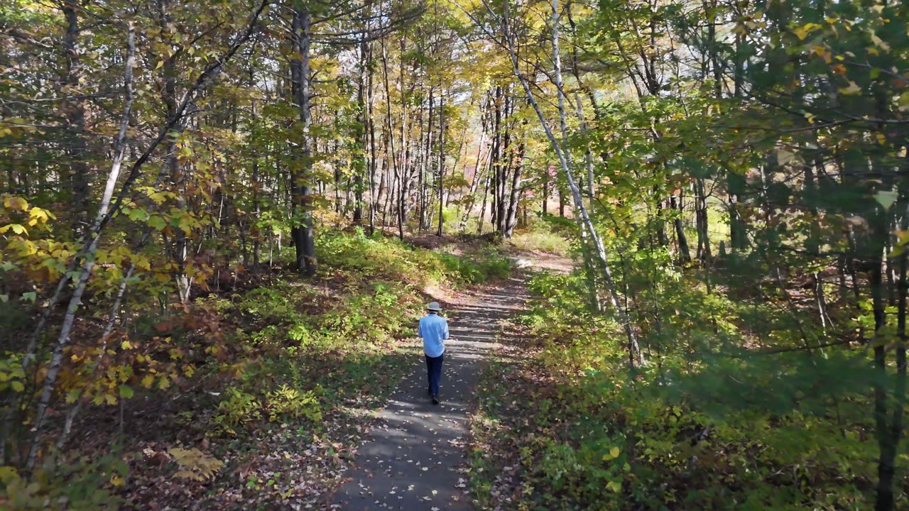 Walk to Lily Pond and Beyond! 4K Aerial footage of a Beautiful spot in New Gloucester, Maine
