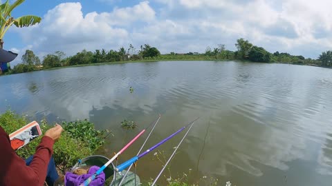 Eel Trolling in River Mud Flats
