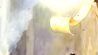 La visión de Joaquín - Visiones de la beata Ana Catalina Emmerick