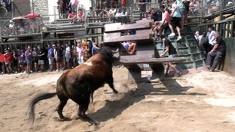 2025 08 16 ALBOCÁCER HATO BLANCO Nº47 Y MONTEVIEJO Nº42