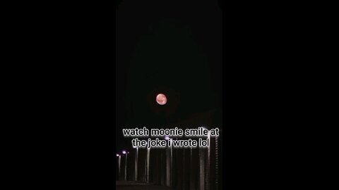 watch moonie laugh bc I'm punny