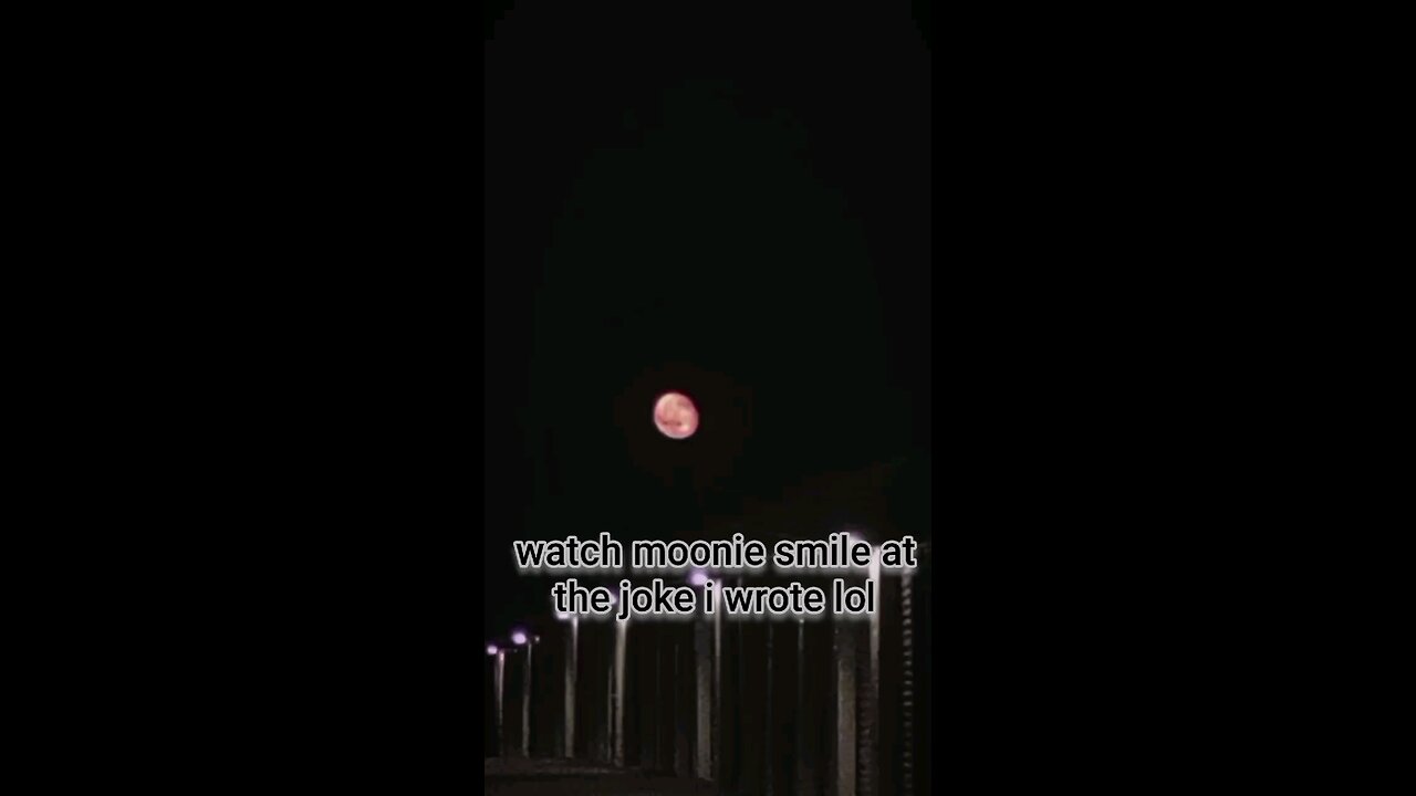 watch moonie laugh bc I'm punny