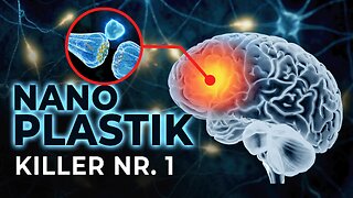 Nanoplastik in deinem Blut? Das sagen 500+ Studien