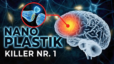 Nanoplastik in deinem Blut? Das sagen 500+ Studien